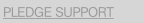PLEDGE SUPPORT.
